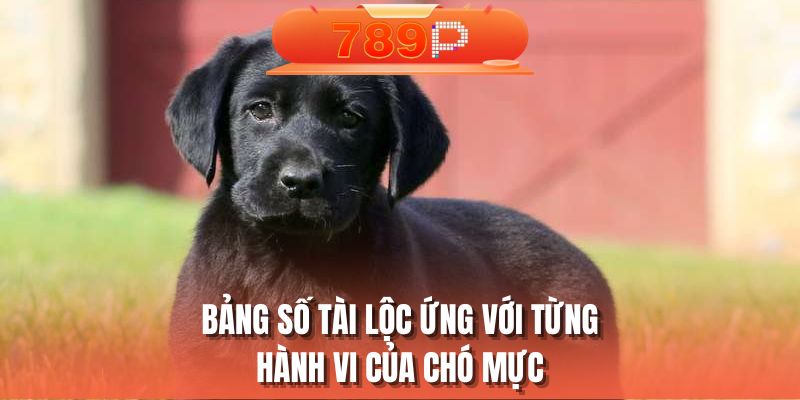 Bảng số tài lộc ứng với từng hành vi của chó mực